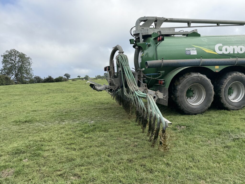 20250624_175819262_iOS