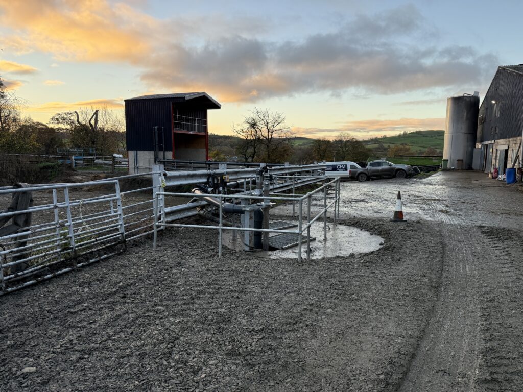 20251108_074622370_iOS