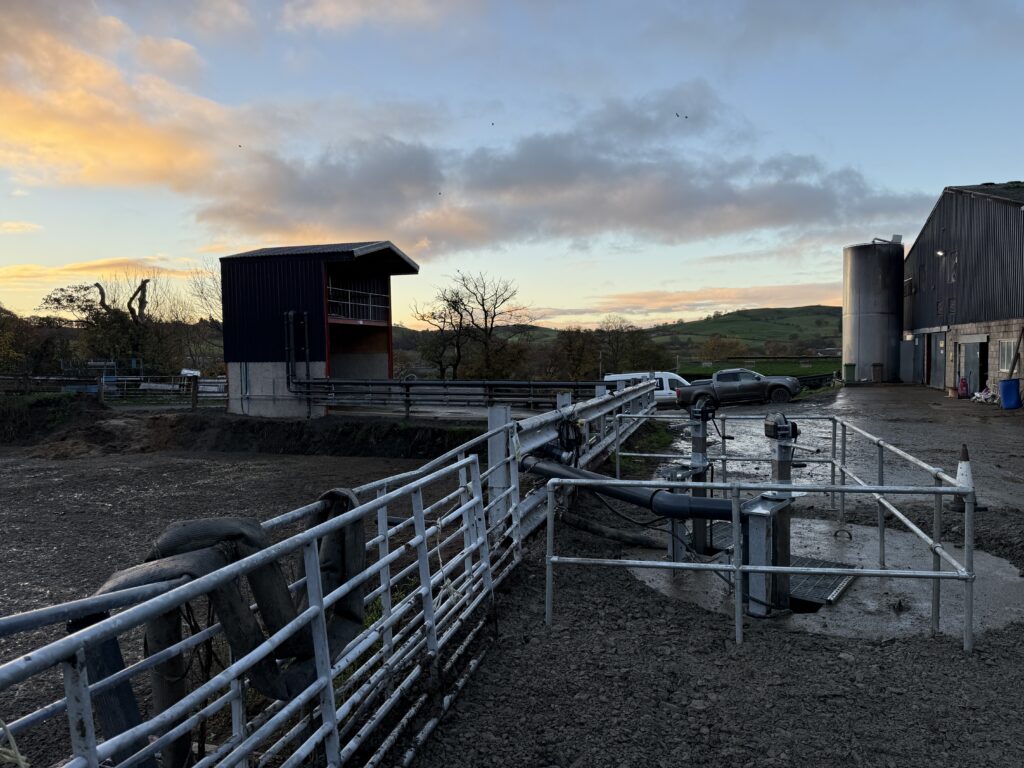 20251108_074627470_iOS