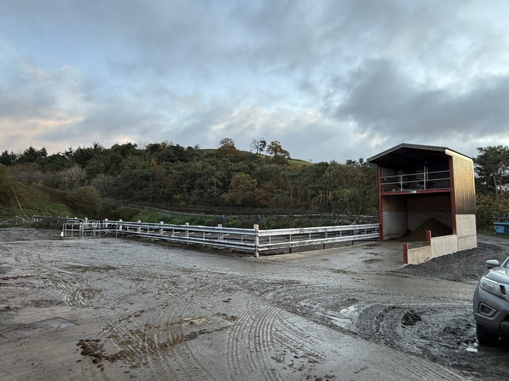 20251108_074740113_iOS