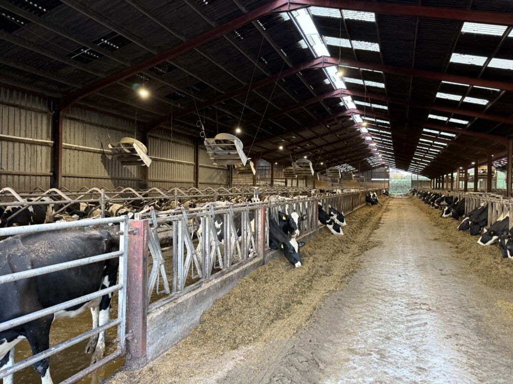 20251108_075335254_iOS