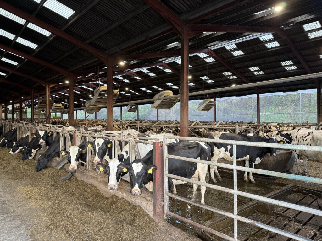 20251108_075337007_iOS