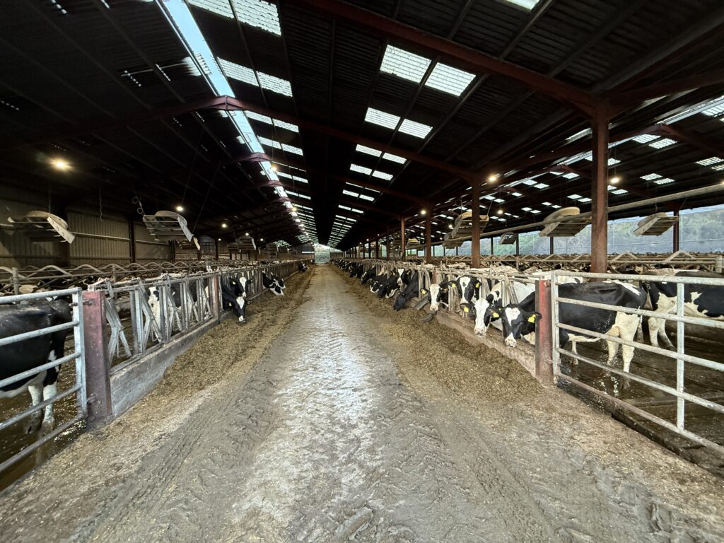 20251108_075341448_iOS