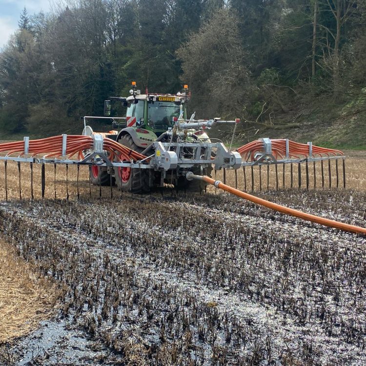 20250408_112025000_iOS