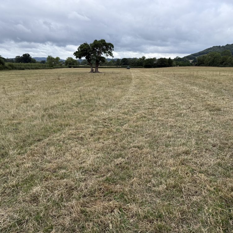 20250731_082808422_iOS