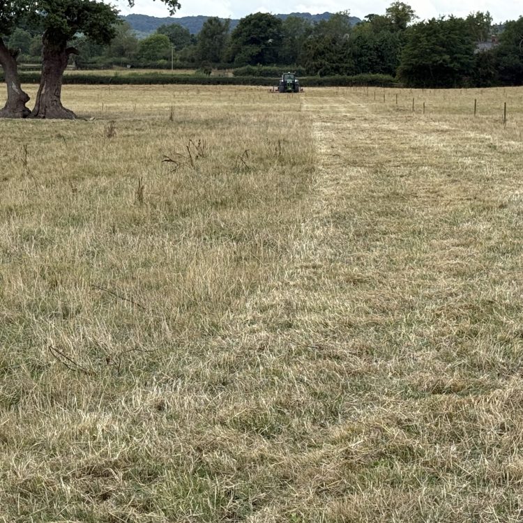 20250731_082810756_iOS