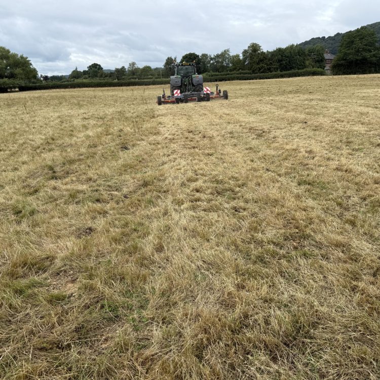 20250731_084619901_iOS