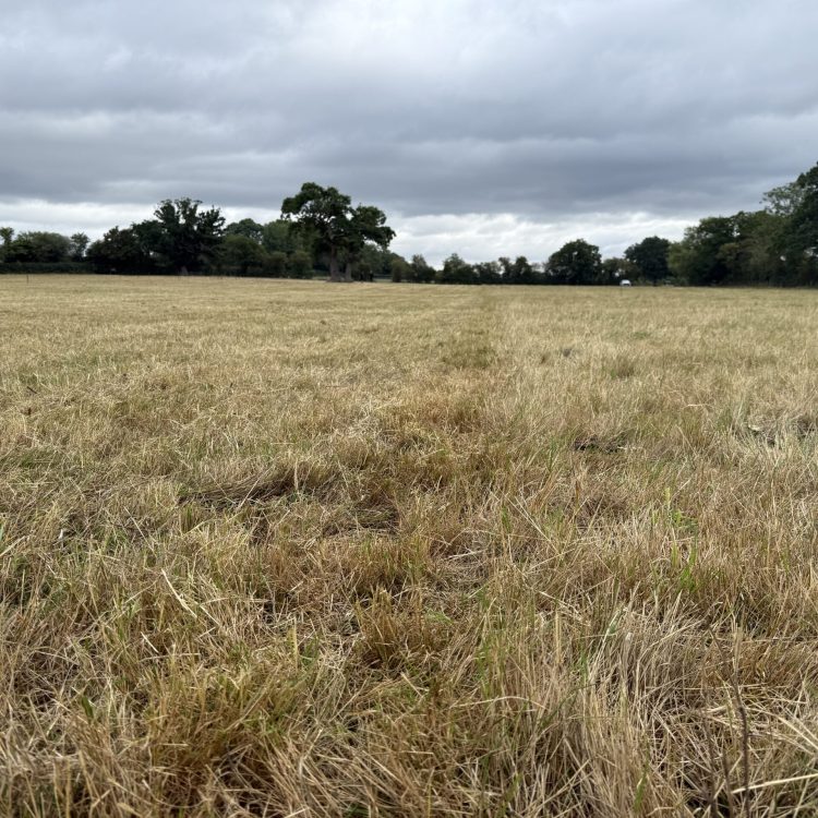 20250731_084623801_iOS