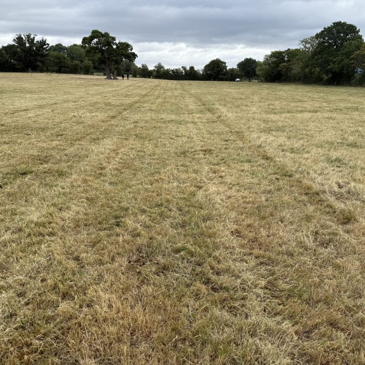 20250731_084627768_iOS