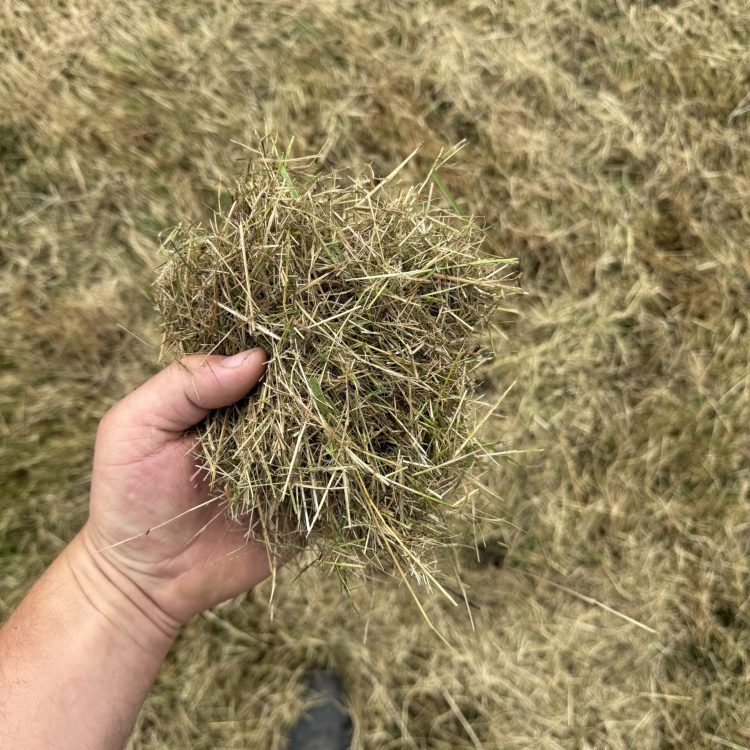 20250731_090120340_iOS