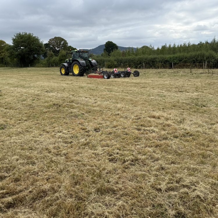 20250731_090126340_iOS