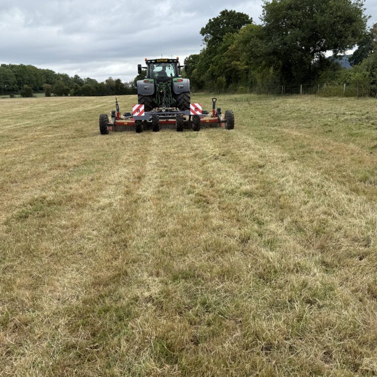 20250731_090138040_iOS