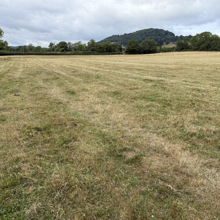 20250731_090231715_iOS