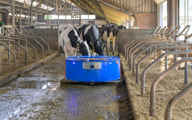 20260213_151938593_iOS