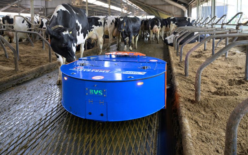 20260213_152129006_iOS